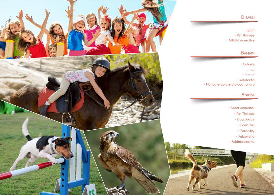 bambini mani alzate a cavallo cane che salta gli ostacoli falco pellegrino ragazza footing tudu app pescara abruzzo